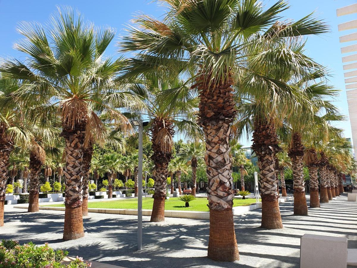 Tenerias 2 Castellon de la Plana